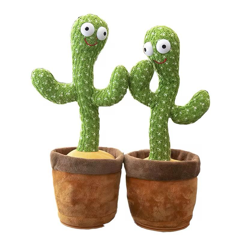 Dancing Cactus