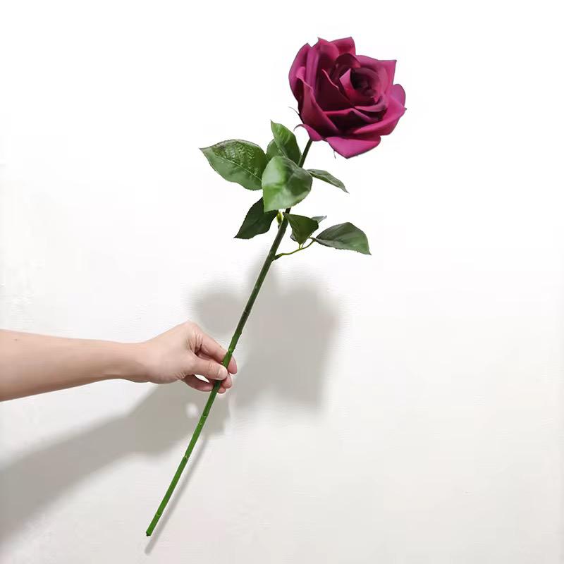 Rose 75*13CM,,8 mix color
