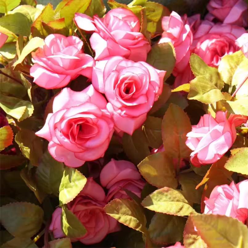 16Rose Hanging flower(10PCS/OPP) mix color 2.3M,