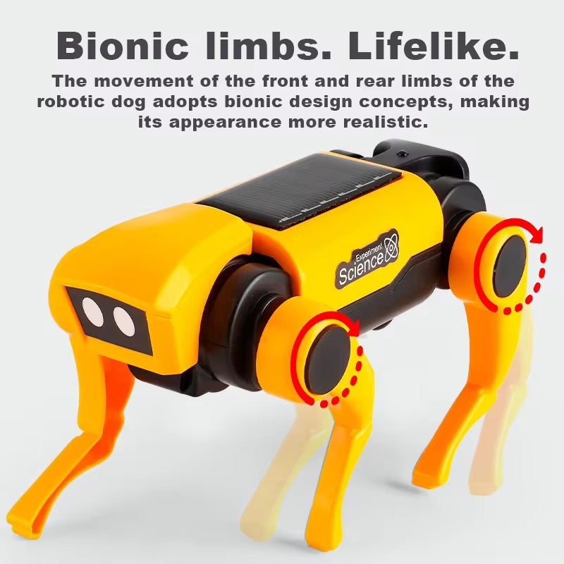 Solar energy robot dog