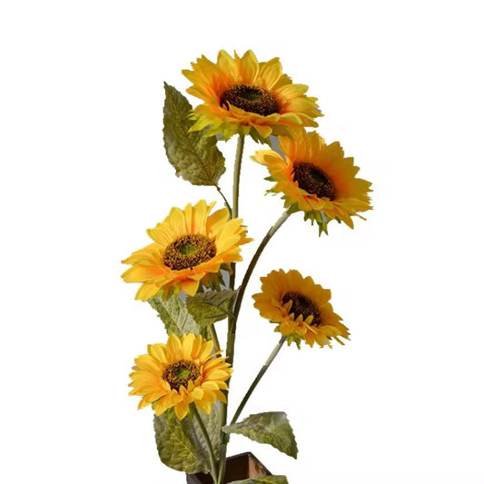 5 flowers 110cm sun Flowers