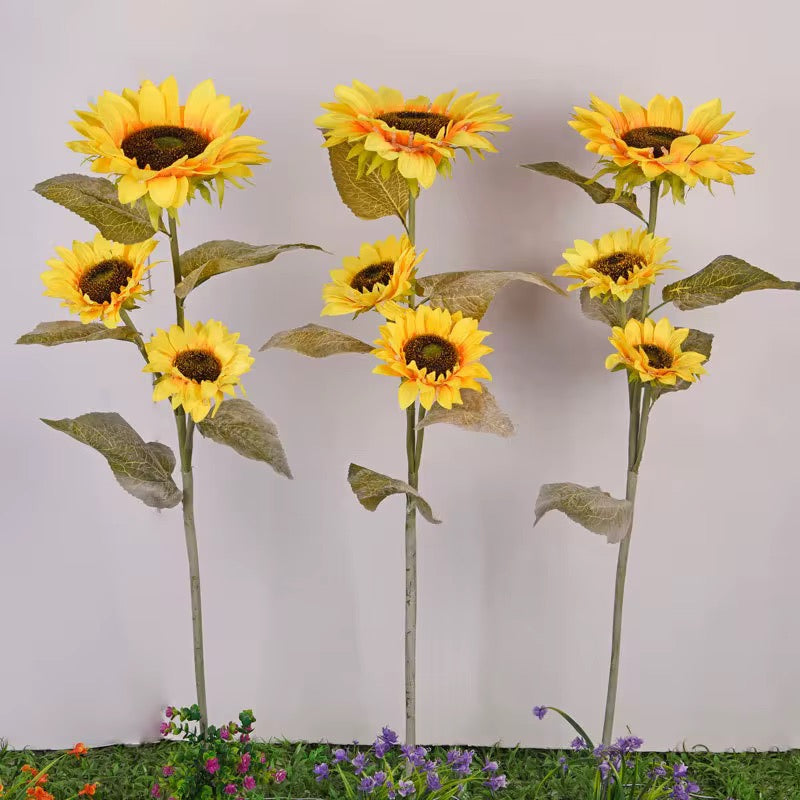 5 flowers 110cm sun Flowers