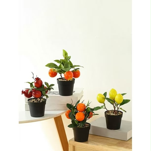 Fruit Tree Pots