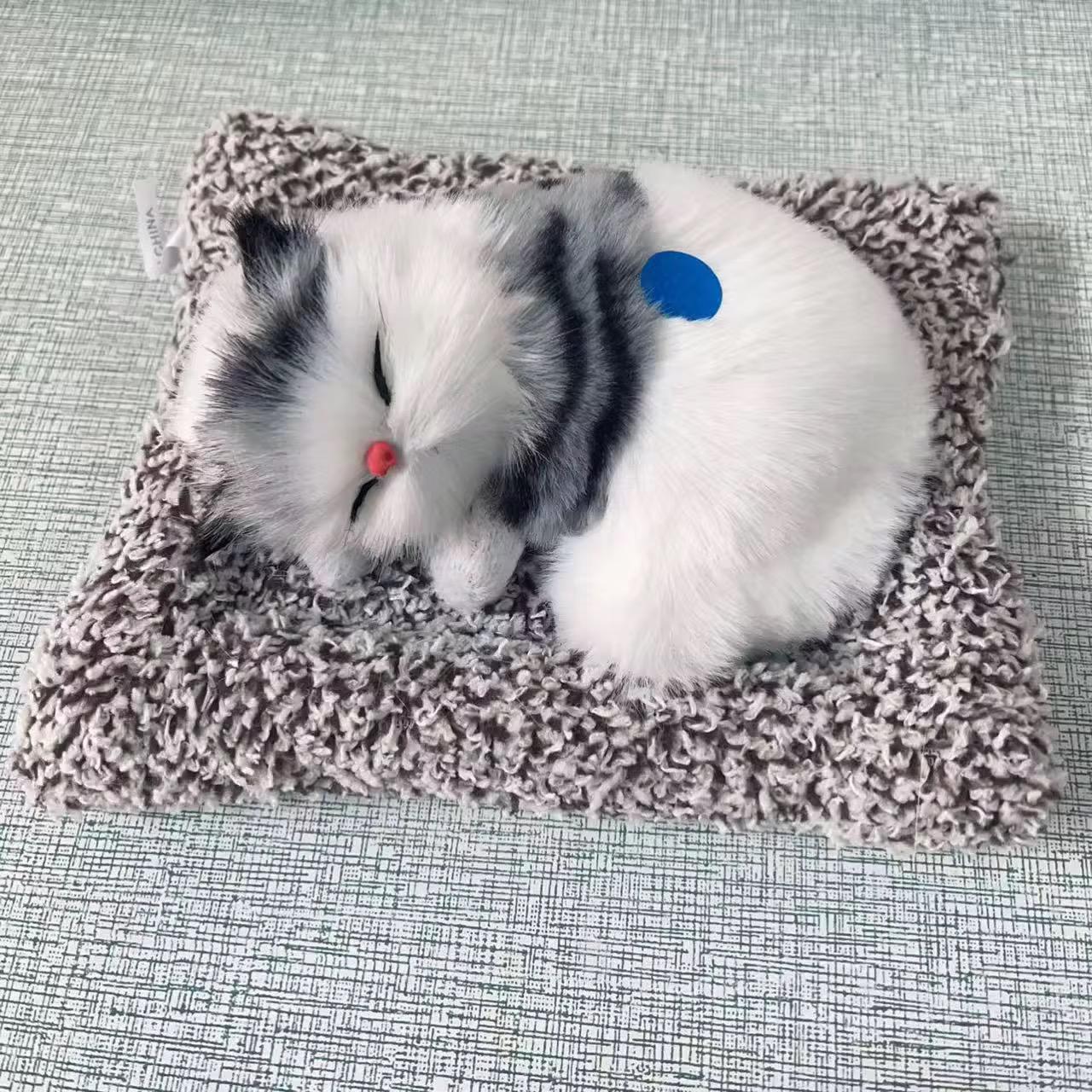 Big Sleeping Cat Battery with padding strap called