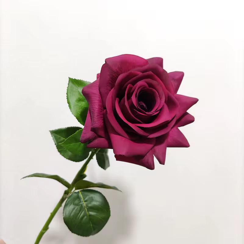 Rose 75*13CM,,8 mix color