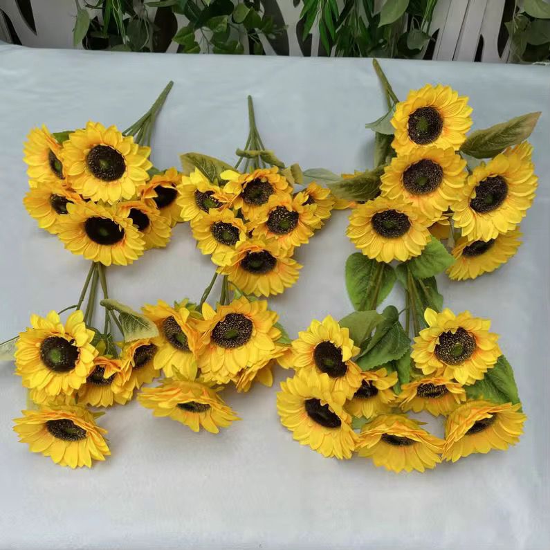 5 flower, SUN FLOWER