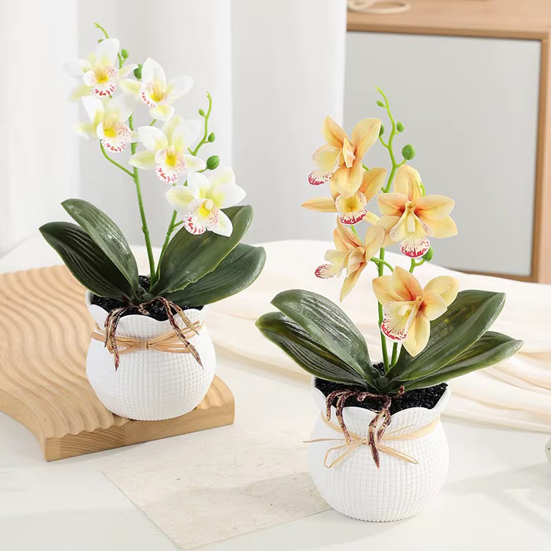 Flower Pots