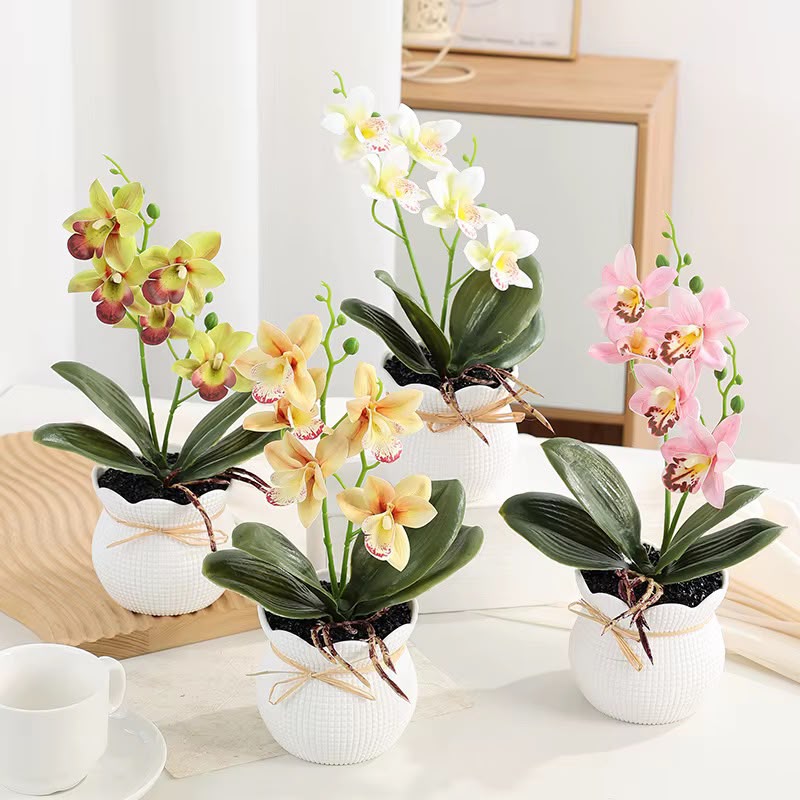 Flower Pots