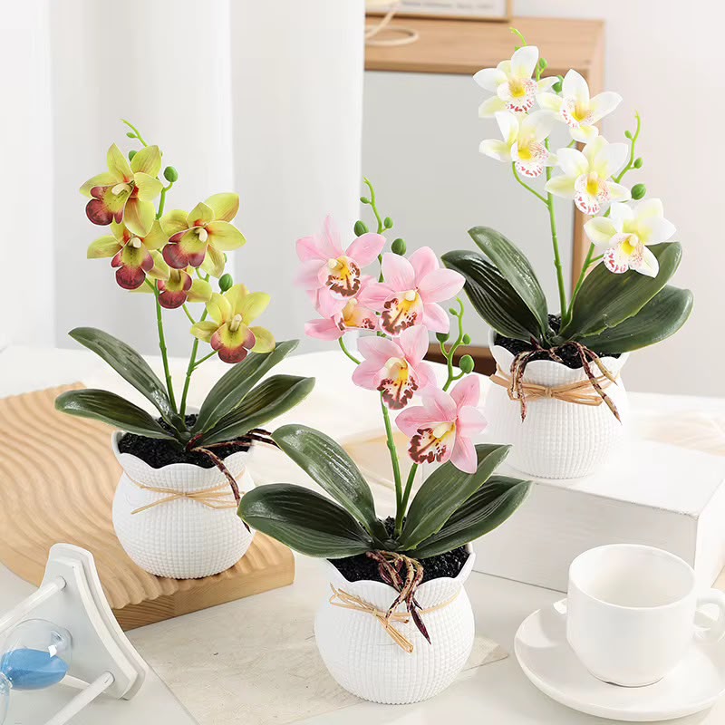Flower Pots