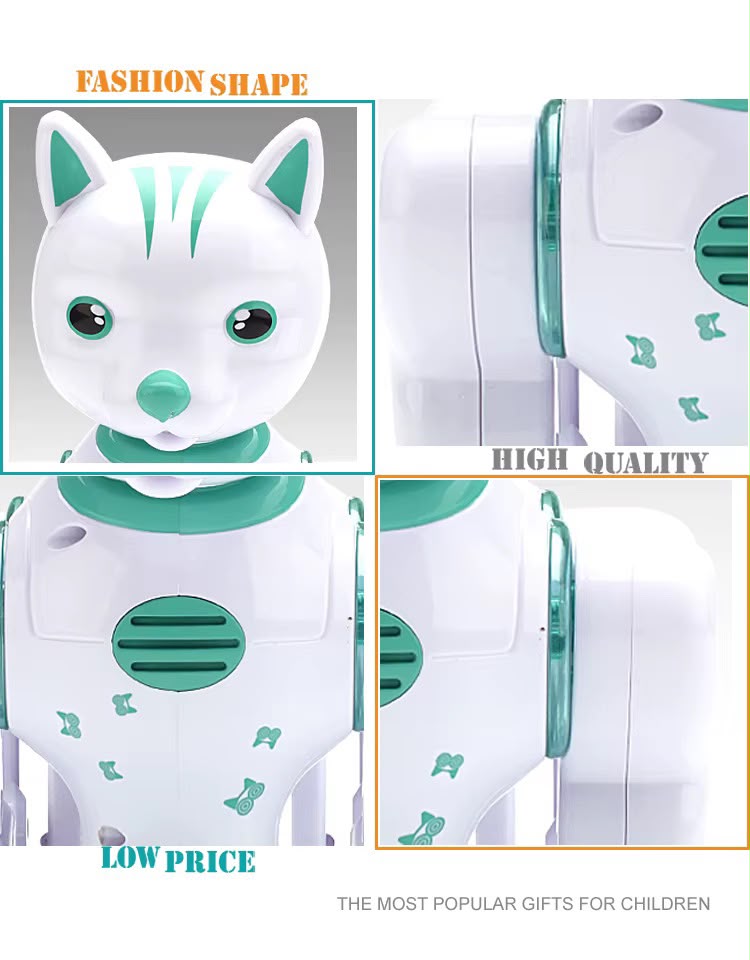 Rc Robot Cat