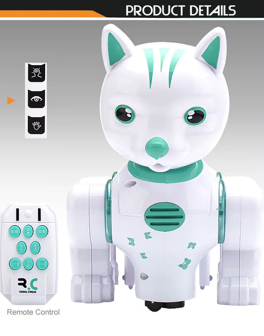 Rc Robot Cat