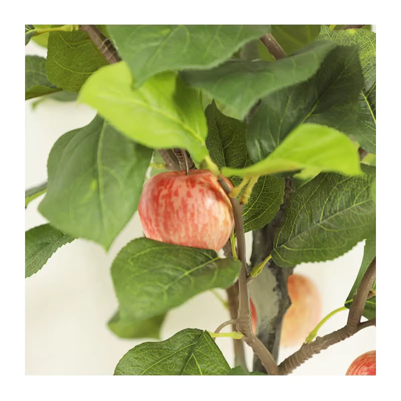 Fruit Tree Pots