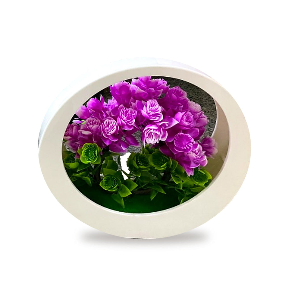 Round Flowe Tree decoration Pot  6 color mix